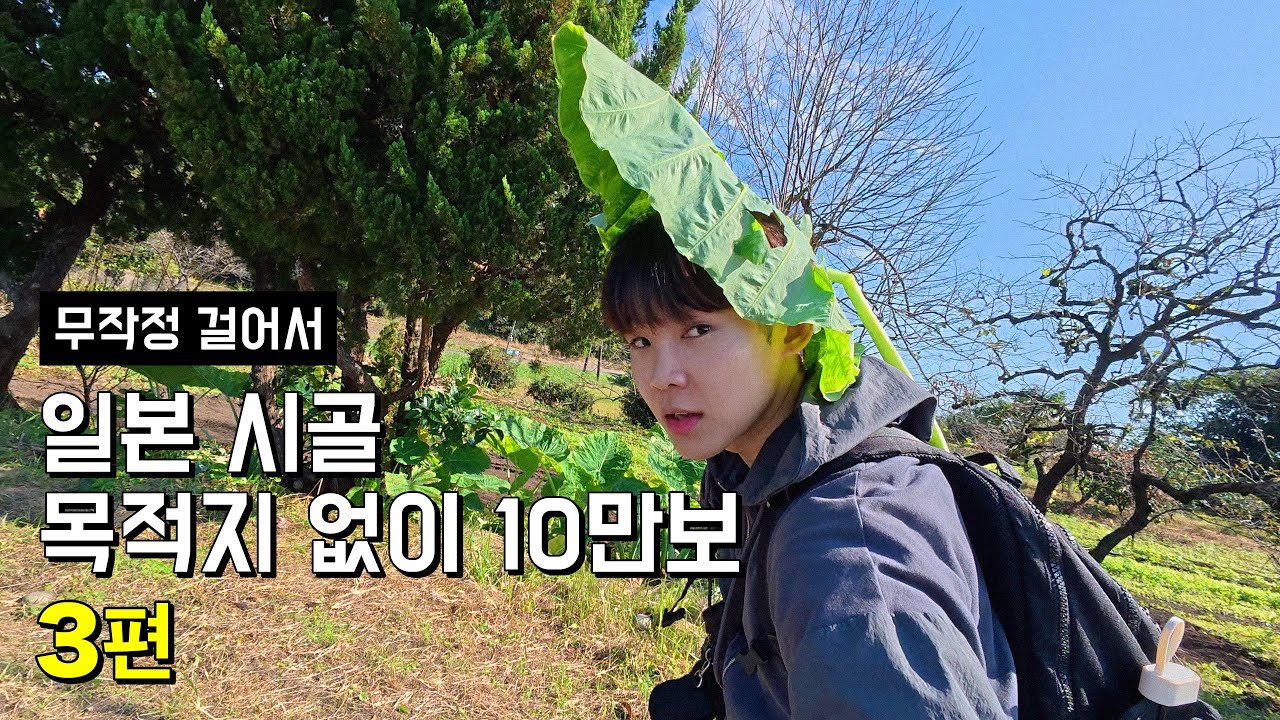 일본 시골 목적지 없이 10만보 걷기 [3편 마지막화]