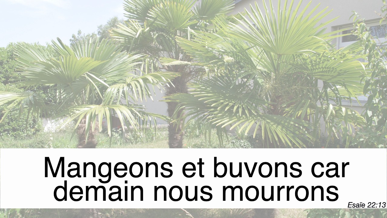 Dimanche le 15 février 2026 - Esaïe 22:13