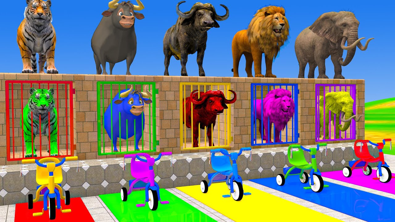 Long Slide Game With Cow Elephant Gorilla Hippopotamus Tiger 3d Animal Game Funny 3d Animals