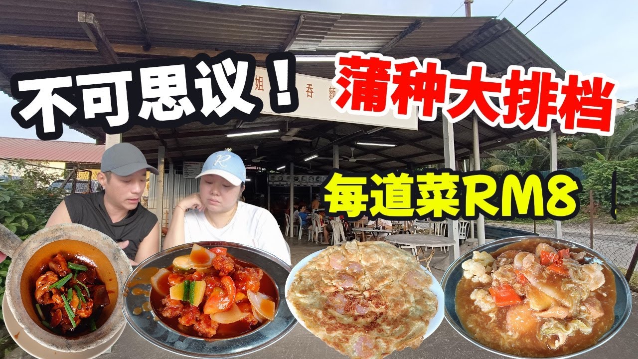 [蒲种美食] 街坊大排档 亲民平价小炒 | 一律只需RM8 味道如何? Puchong Affordable Stir-Fry: All Dishes for Only RM8