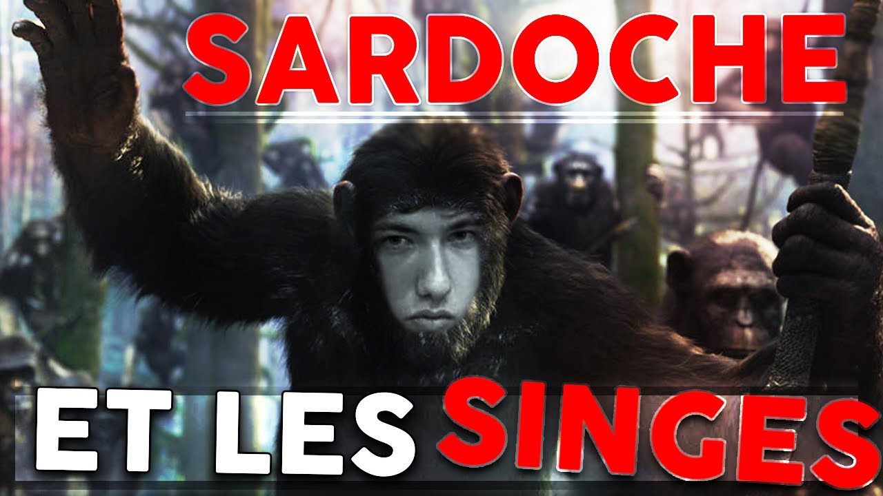 SARDOCHE PARMI LES SINGES