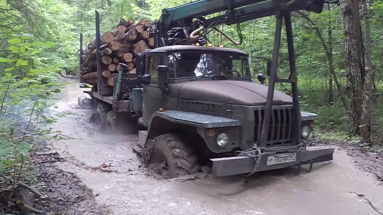 Урал 5557 лесовоз. Вывожу лес после дождей