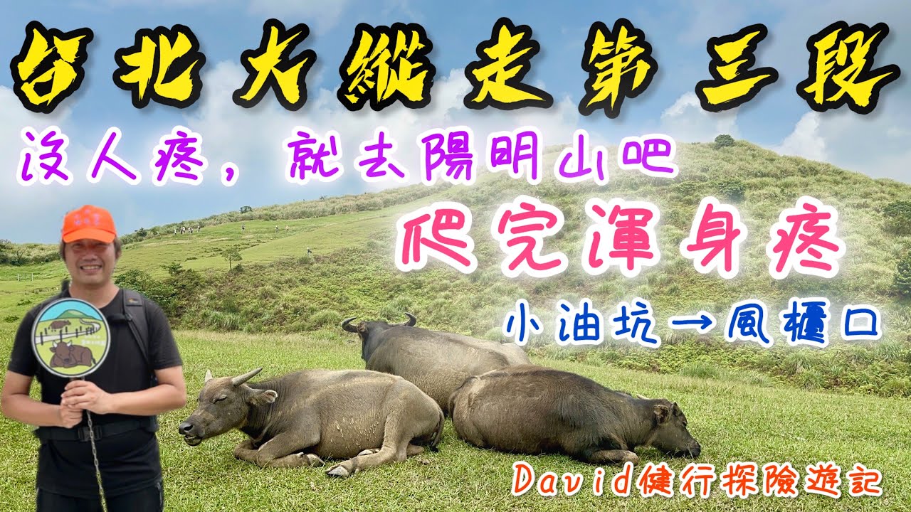 台北大縱走第三段《小油坑→風櫃口》｜沒人疼就去陽明山吧，爬完渾身都疼｜濃縮100分鐘的David健行探險遊記｜一個人走也不孤單，遊客是你最好的伴，互相鼓勵加油！｜