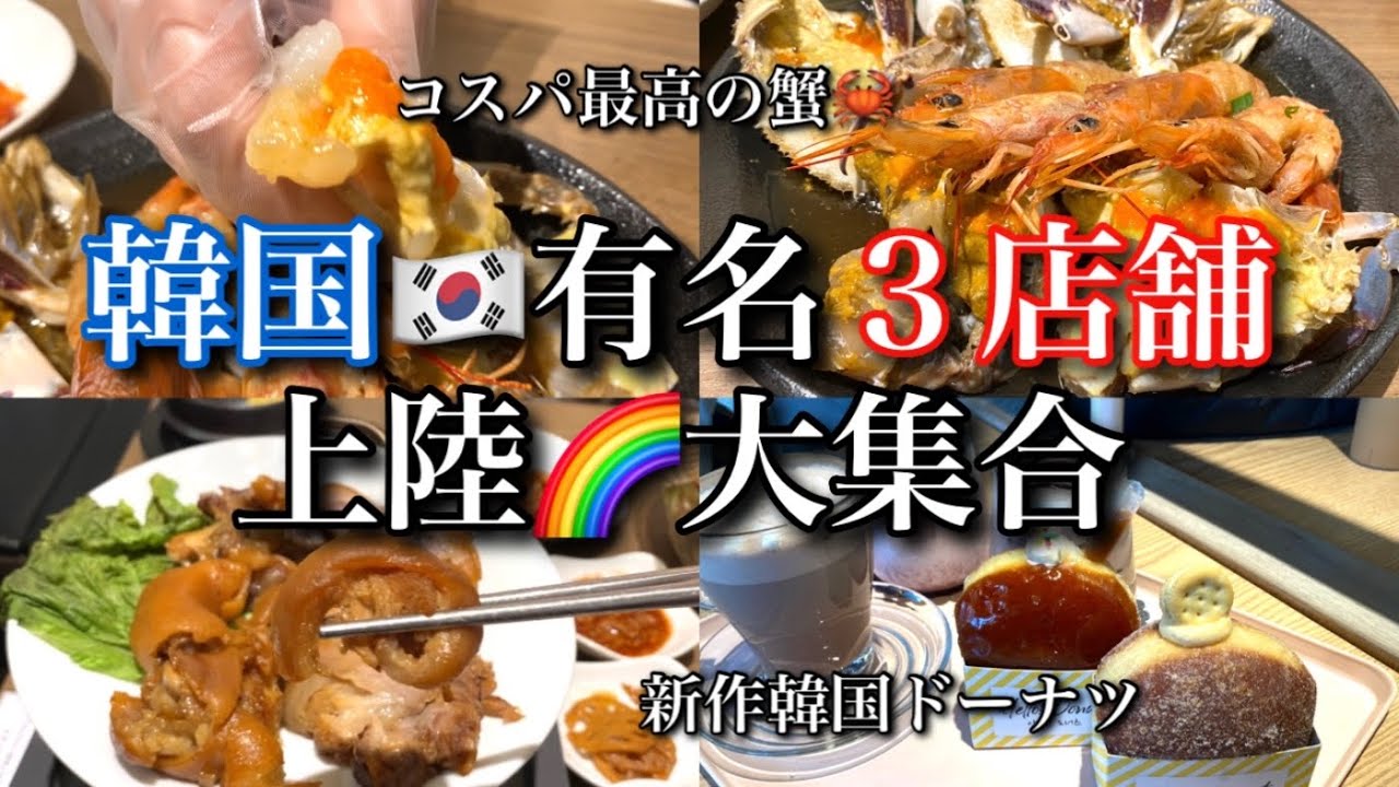 【新大久保】新店🌈韓国３店の味を堪能＆コスパ最高の贅沢店！新作ドーナツで〆