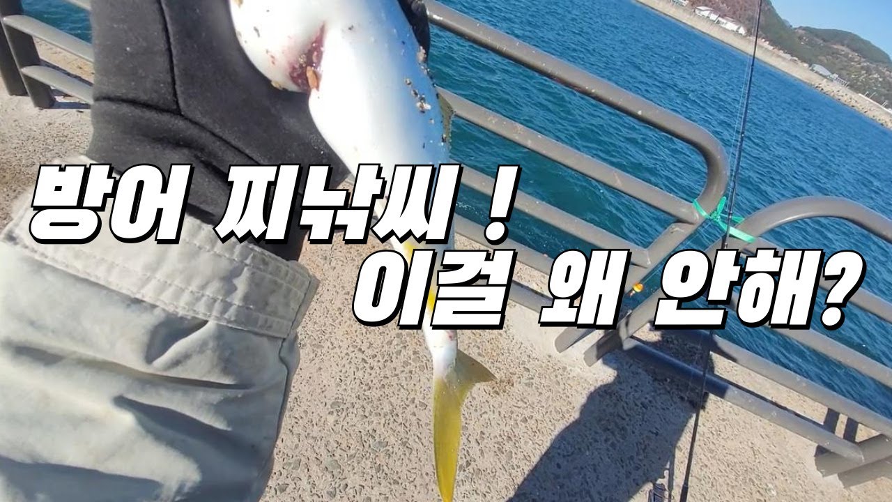 방어찌낚시 이걸 왜 안해? 오륙도방파제 방어 전갱이 루어 쇼어지깅