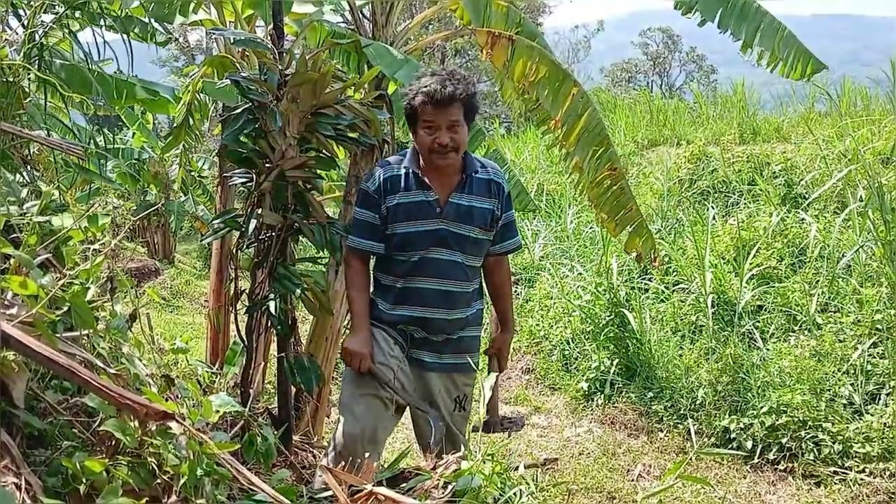 CARA TANAM DI BUKIT PASURUHAN 