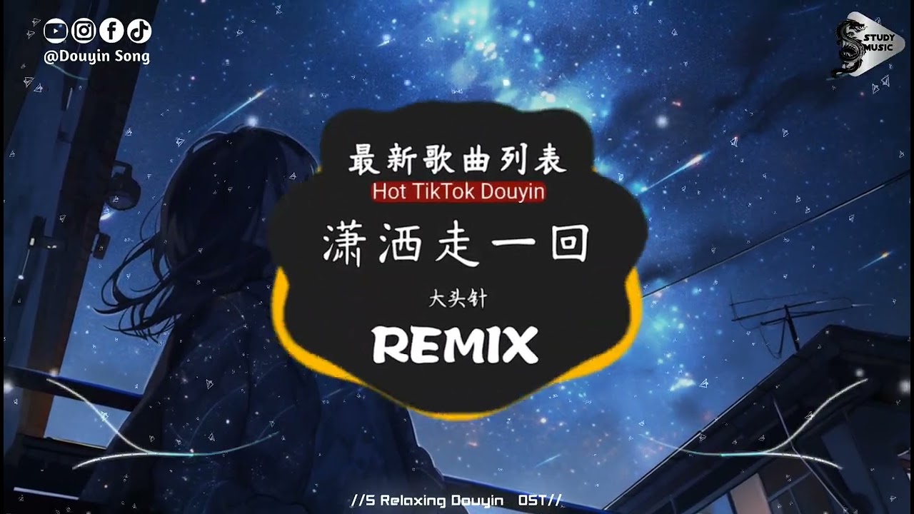 大头针 - 潇洒走一回 (抖音DJ版)『天地悠悠过客匆匆，潮起又潮落，恩恩怨怨生死白头，几人能看透。』抖音热门流行歌曲｜氛围感BGM