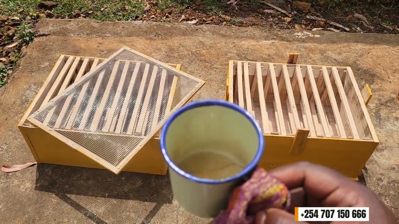 BEE FARMING IN KENYA [KIAMBU COUNTY - GITHUNGURI  CONSTITUENCY] APIARY SETUP 