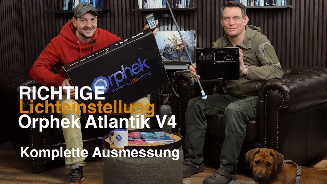 Orphek Atlantik V4 Richtige Lichteinstellung