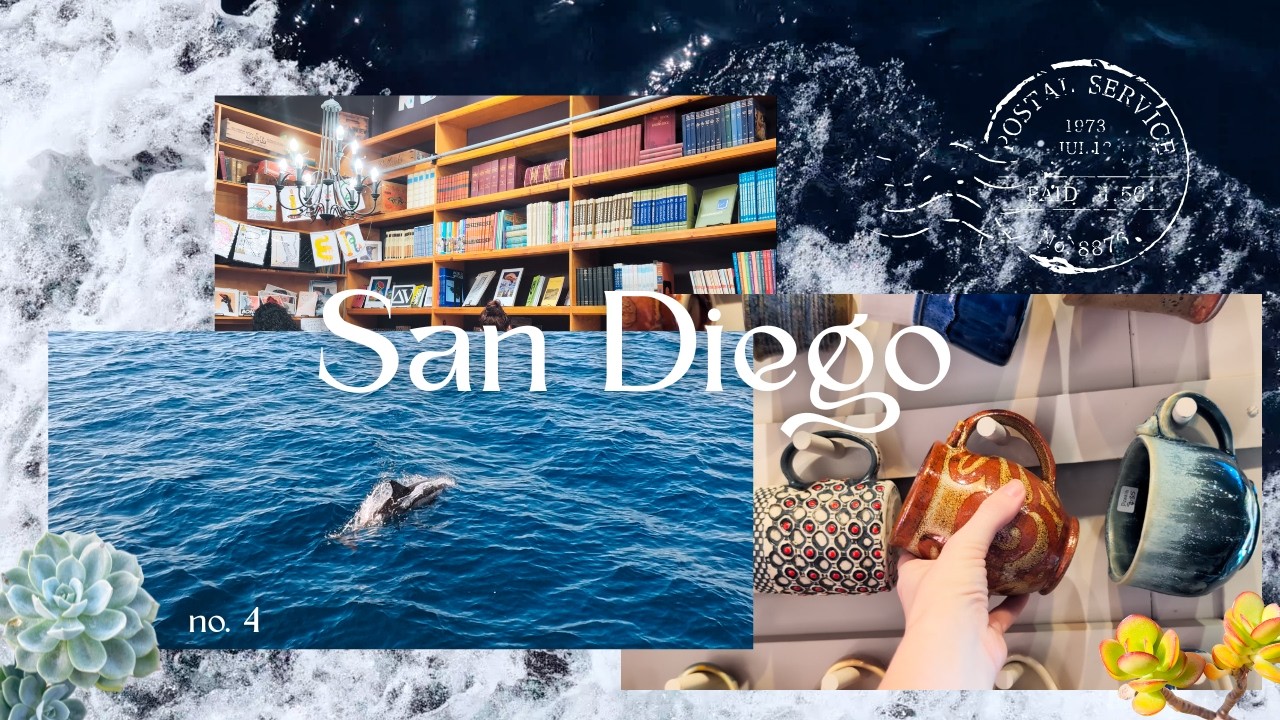 video postcard from sunny san diego, ca 𓂃 ོ☼𓂃 dolphins, art, & bookstores!