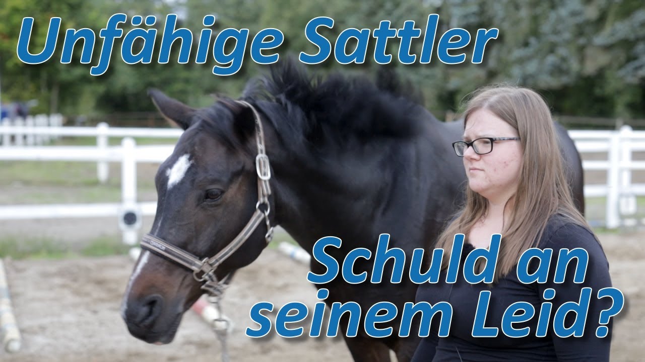 Unfassbar - Sattler schuld am Leid dieses Pferdes? Keiner findet die Ursache fürs lahmen!