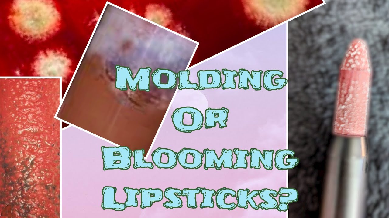 #molding #blooming How to tell the difference between Mold or Blooming Lipstick