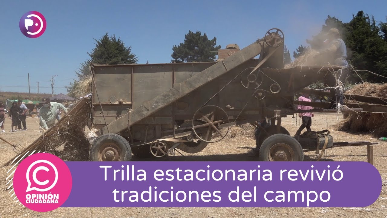 Trilla estacionaria en Punta de Lobos revivió tradiciones del campo