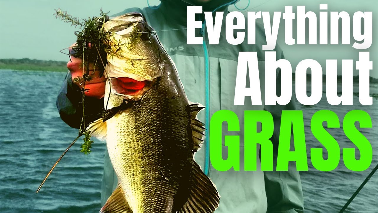 BASS Fishing GRASS // Milfoil, Coontail, Hydrilla & Eelgrass Fishing (The #1 COVER For Big Bass)