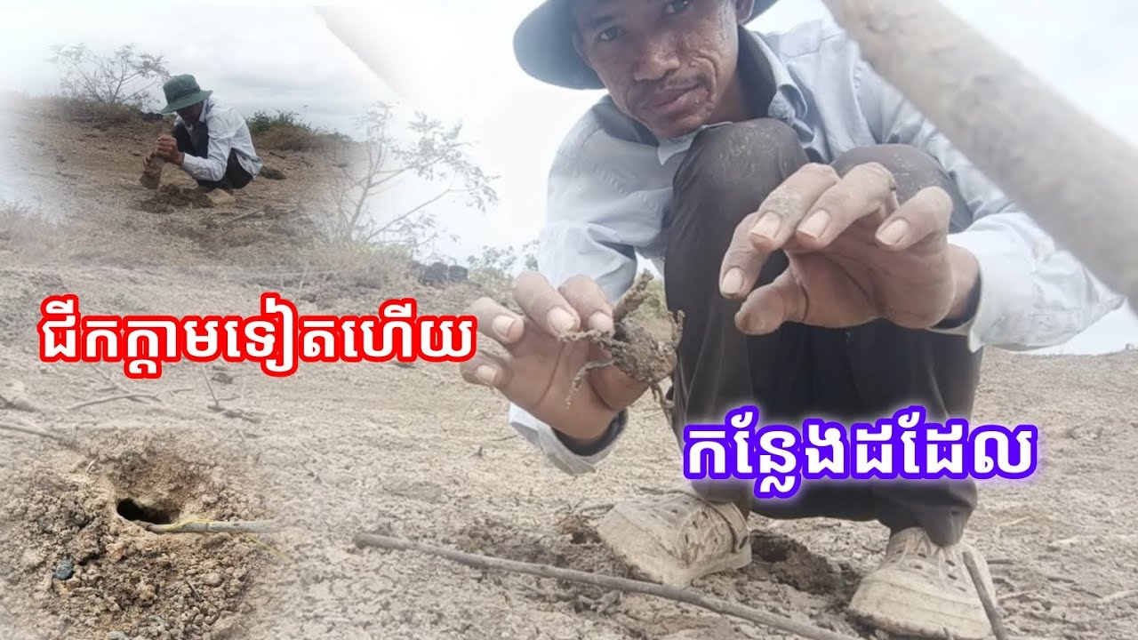 ជីកក្ដាមទៀតហើយបងប្អូននៅកន្លែងដដែល
