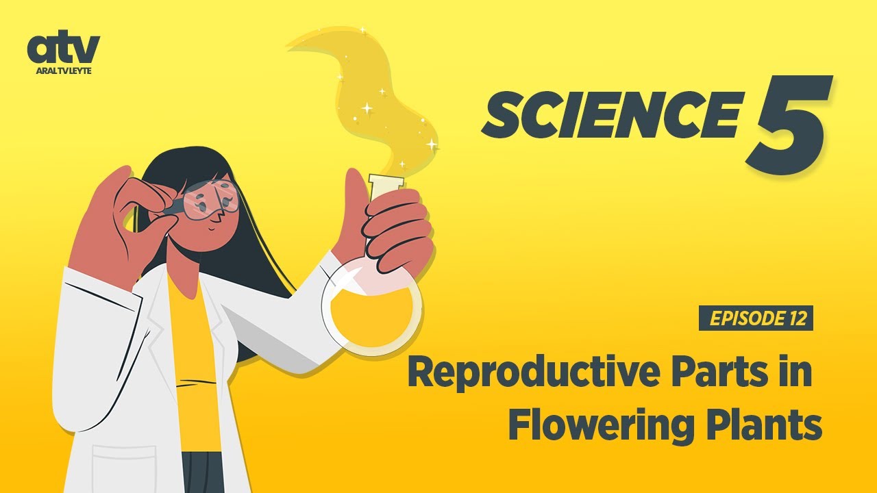 Science Grade 5 Q2 Ep 12: Reproductive Parts in Flowering Plants