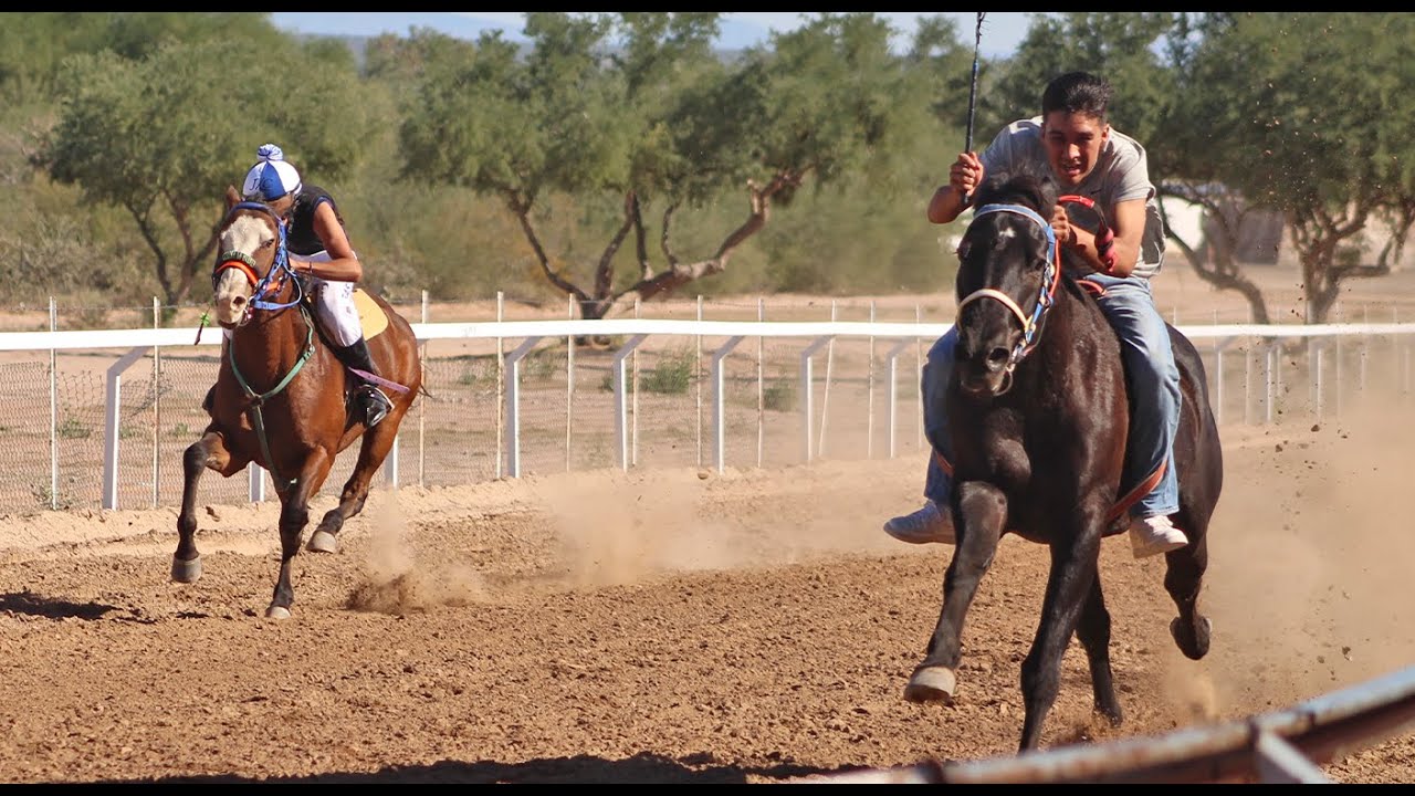 Carreras de Caballo en El Ejido La Sangre 09 Noviembre 2025