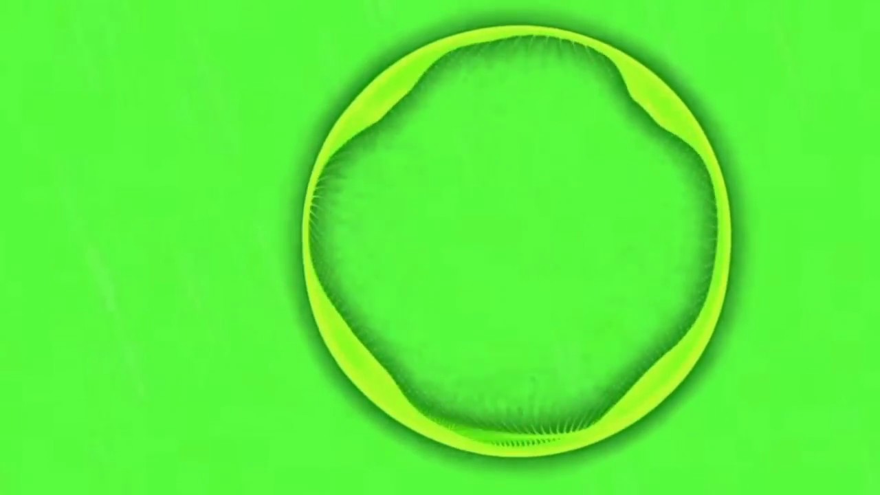 Jo Cohel & Sex Whales - Run Away NCS Green Screen (Without Logo)