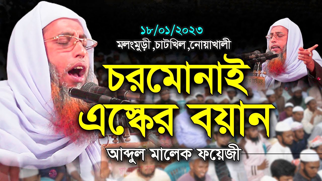 নোয়াখালীতে শীতল করা কন্ঠে ওয়াজ। আব্দুল মালেক ফয়েজী। নতুন ওয়াজ। Abdul Malek Fayezi। new waz 2023