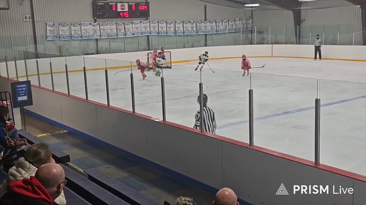 Live streaming of Shamrocks U12B