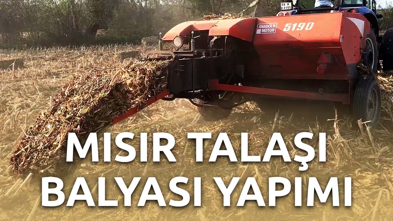 GALLIGNANI 5190 - New Holland TD75D - Massey Ferguson 265s ile MISIR TALAŞI BALYASI YAPIMI