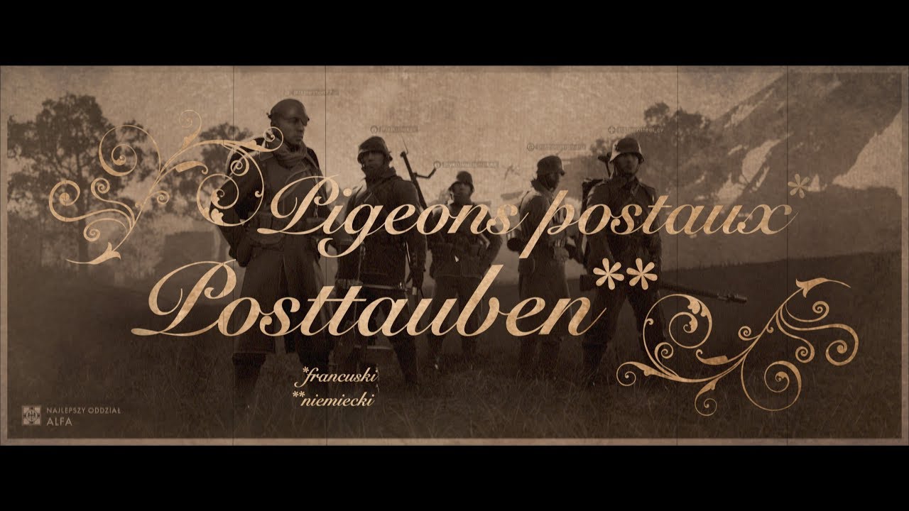 Pigeons postaux