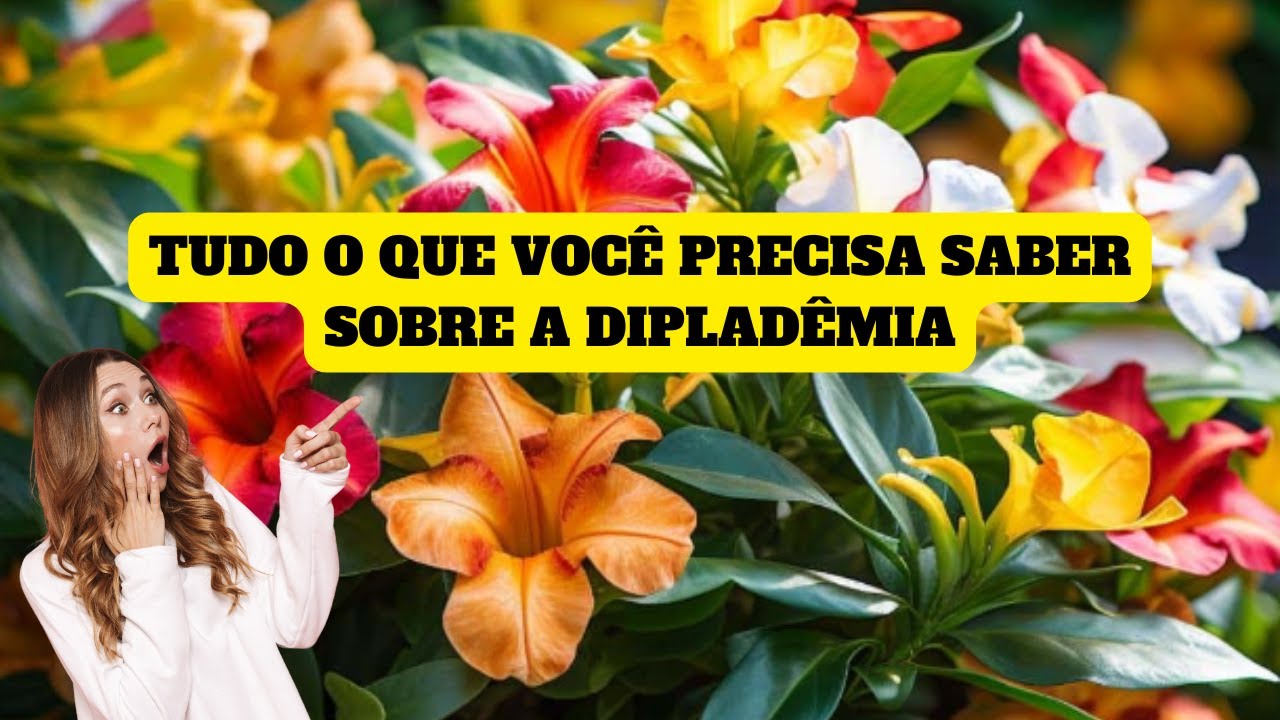 DIY-Como Cultivar Cuidar Fazer Mudas De Dipladêmia/Substrato Para Plantar Dipladênia Pendente-SEO