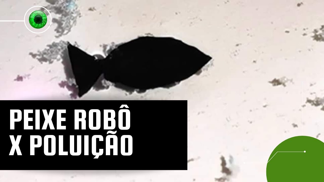 Peixe rob&ocirc; chin&ecirc;s &eacute; criado para remover micropl&aacute;sticos do oceano