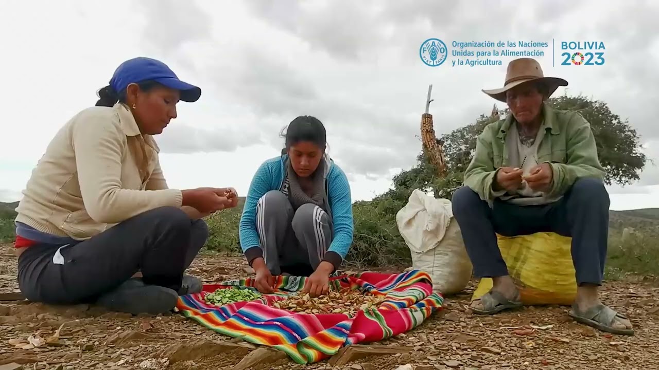 Mejor Producci&oacute;n