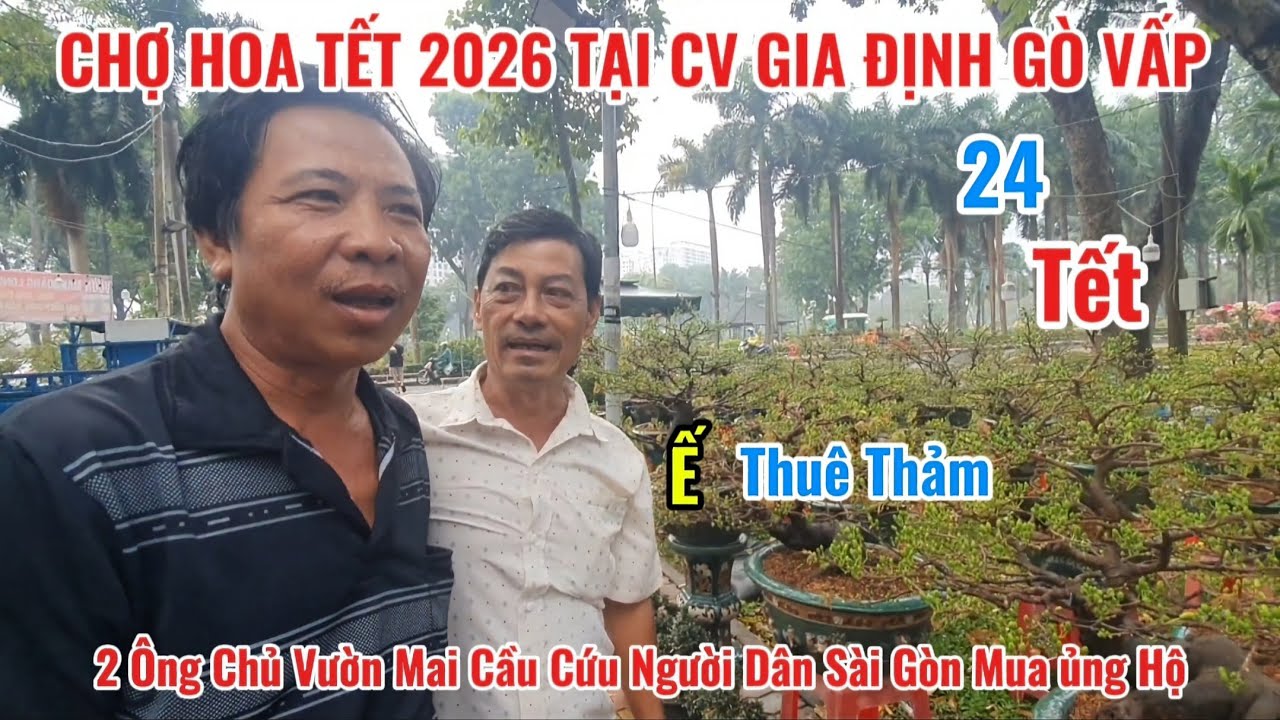 24 Tết 2026 Chợ Hoa CV Gia Định G&ograve; Vấp,Ế Thu&ecirc; Thảm,2 Anh Chủ Vườn Mai Cầu Cứu Người D&acirc;n SG