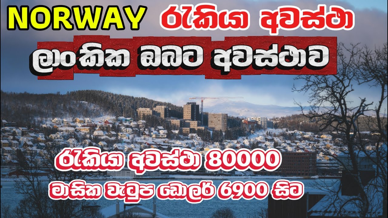 Norway Work Visa | How to Get a Norway Work Permit | Jobs in Norway | Europe| Jobs 80,000 ✈