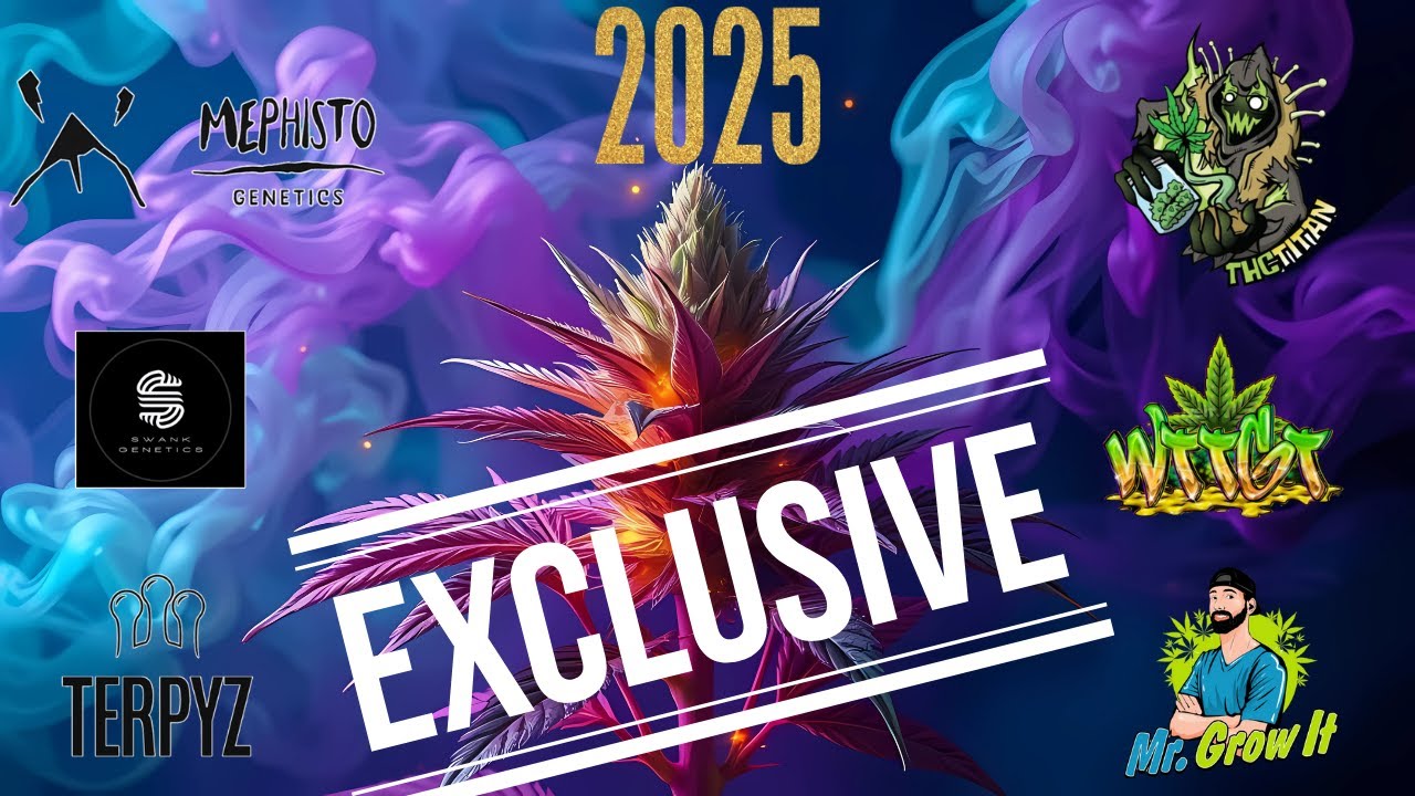 ОБЯЗАТЕЛЬНАЯ ГЕНЕТИКА 2025 ГОДА (Новое)