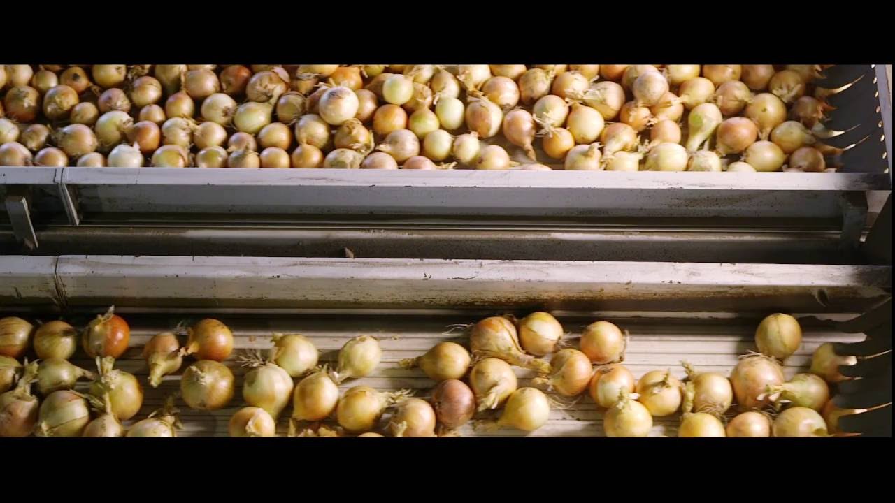 Waterman Onions B.V.