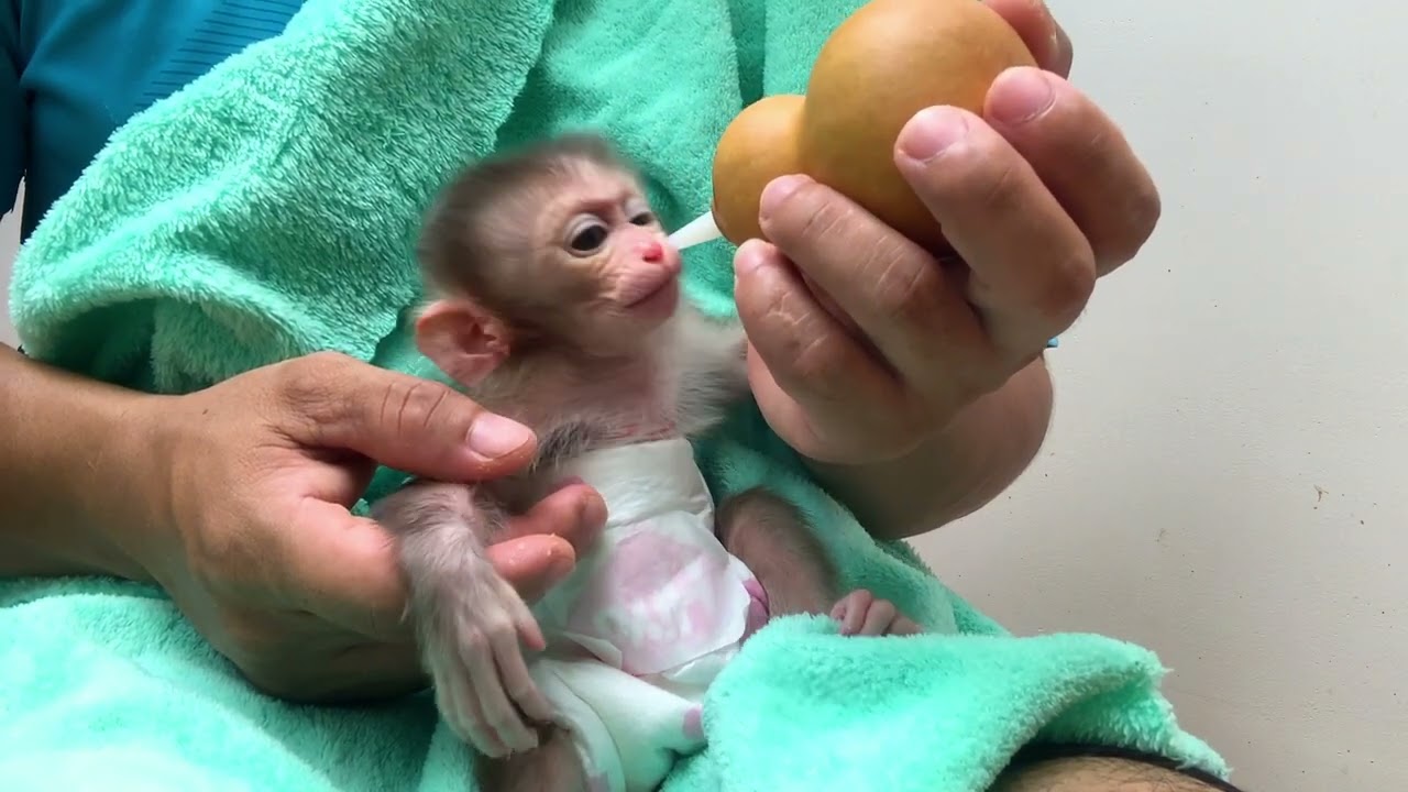 Baby Learn Drink Koko With New Bottle