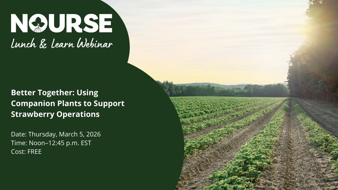 Nourse Farms Webinar: Better Together: Using Companion Plants to Support Strawberry Operations