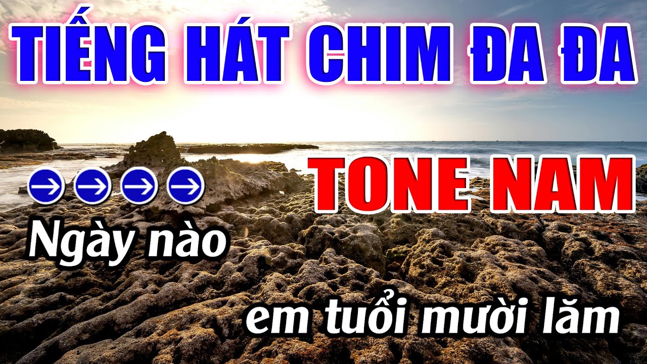 Tiếng Hát Chim Đa Đa Karaoke Tone Nam ( Dm ) Karaoke Lâm Beat - Beat Mới