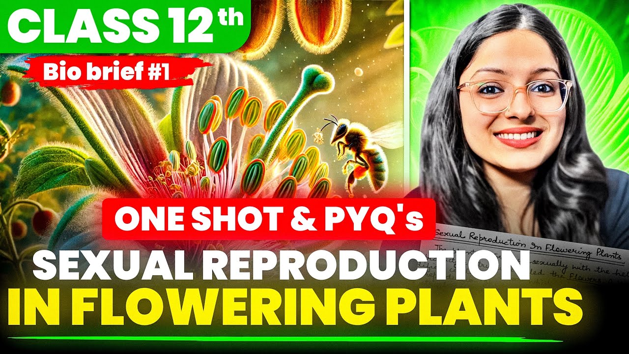 Sexual Reproduction in Flowering Plant One Shot | Class 12 Biology Board Exam | BioBrief Series
