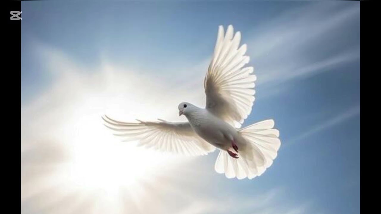 2026 gosple songs.carry me by the spirit of your word 