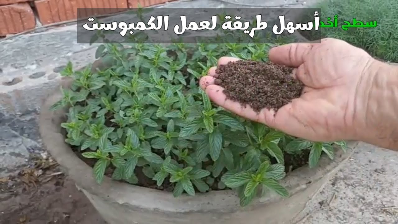 أسهل طريقة لصنع الكمبوست في المنزل ( السماد العضوي الطبيعي)