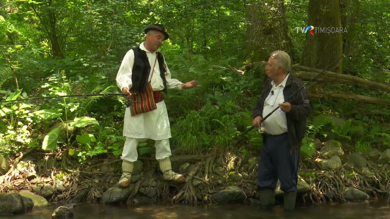 La pescuit de păstrăv indigen, pe Valea Mare din Caraș-Severin #SareaInBucate @TVRTM