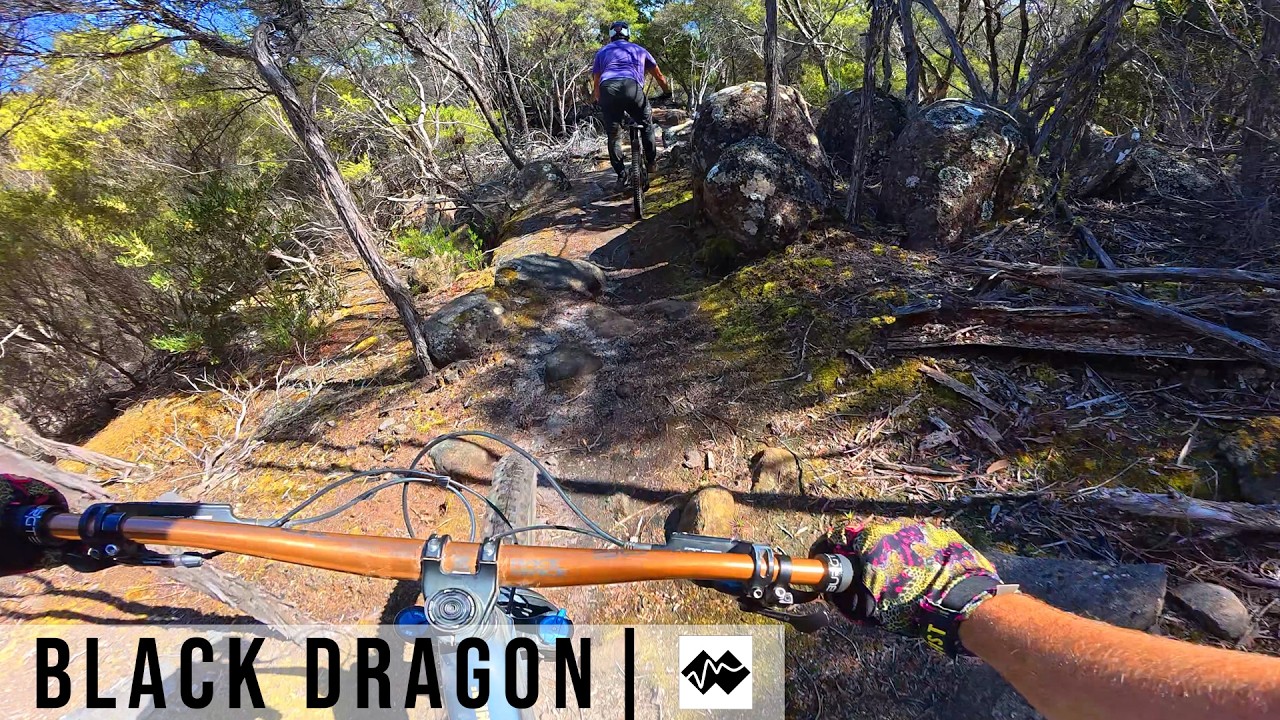 Black Dragon | RAW Run | Blue Derby
