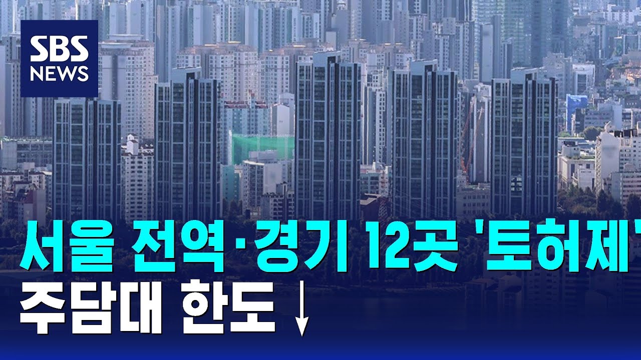 서울 전역·경기 12곳 '토허제'…주담대 한도↓ / SBS