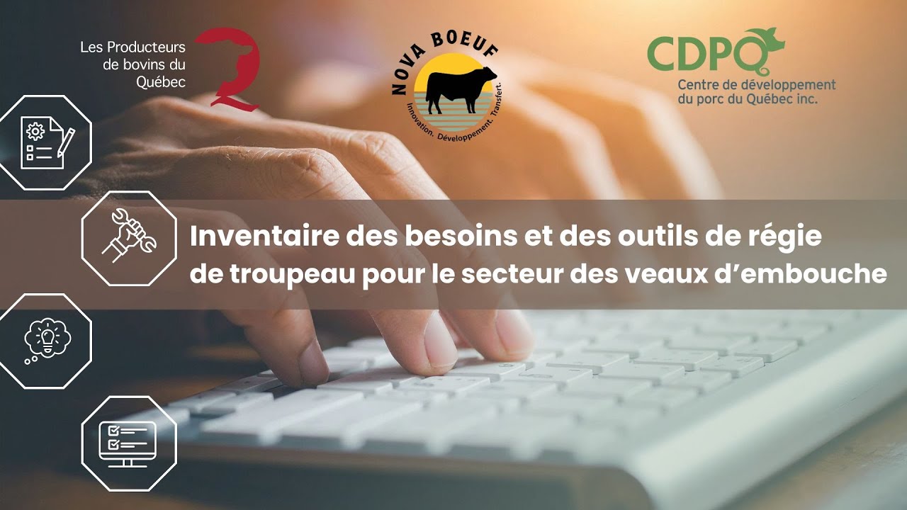 Webinaire - Les outils de régie de troupeau pour le secteur des veaux d'embouche