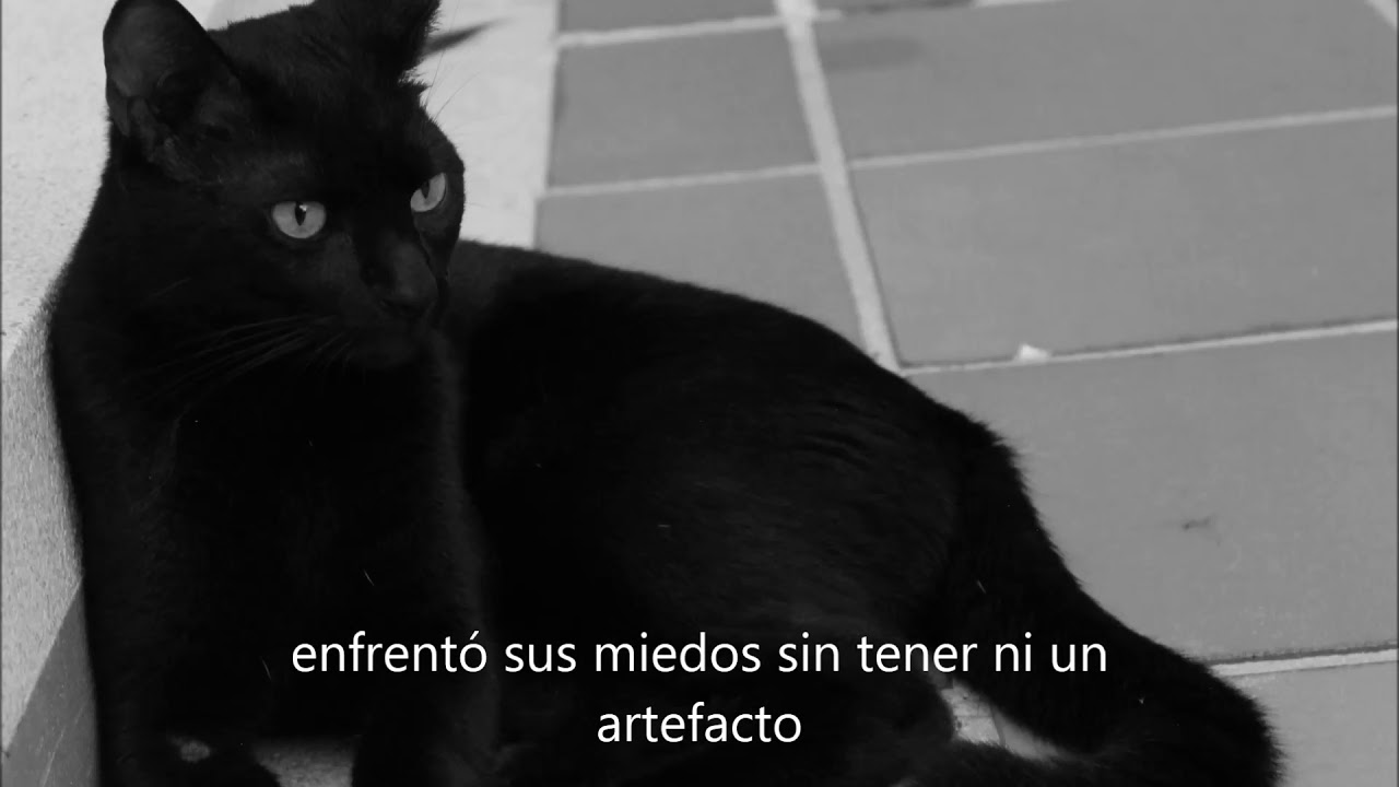 HACE PARTE DE VIVIR - JARA BTA