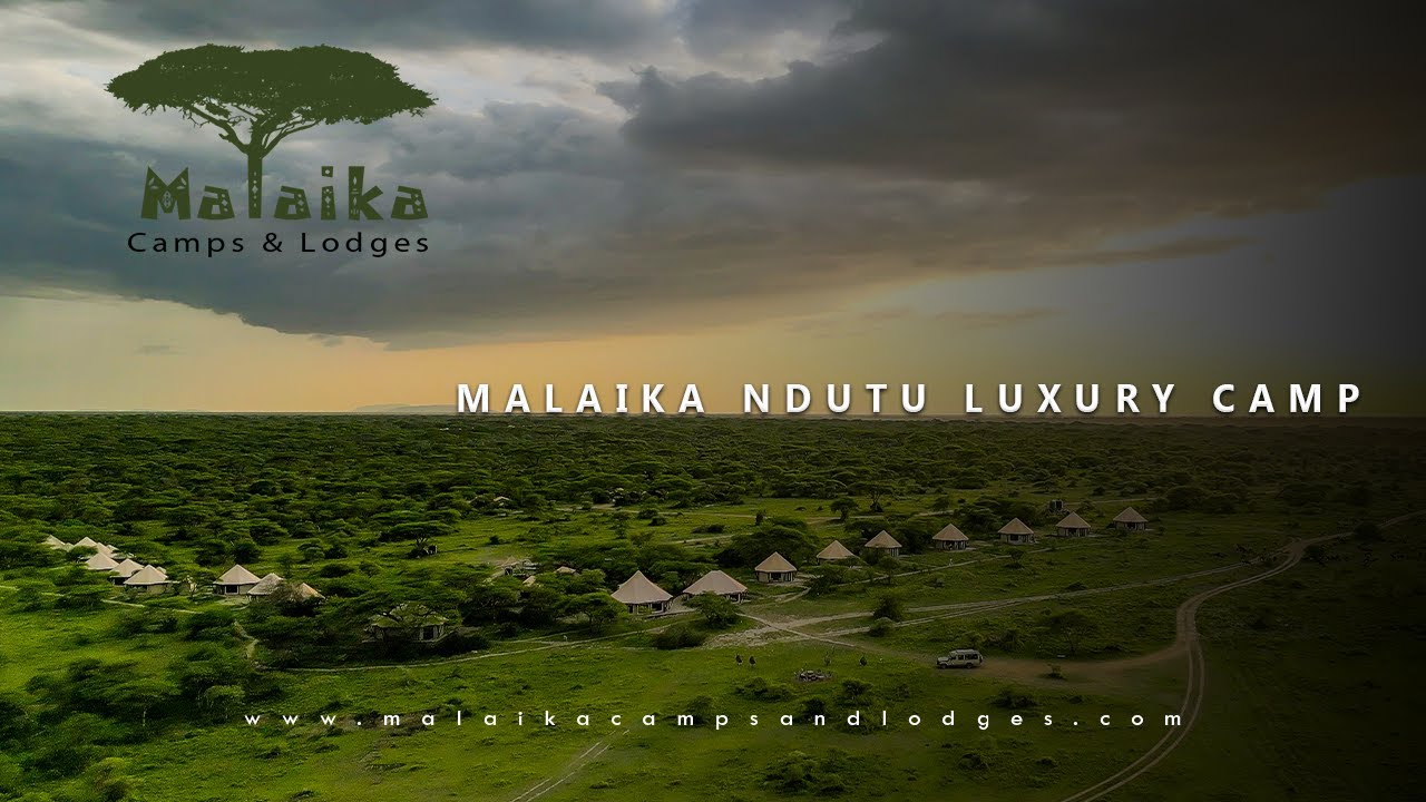 Malaika Ndutu Luxury Camp #wildlife #camps #tanzania #serengeti #ngorongoro