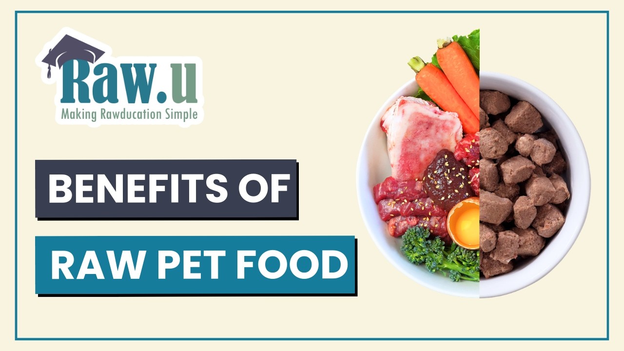 The Benefits of Raw Food for Cats and Dogs