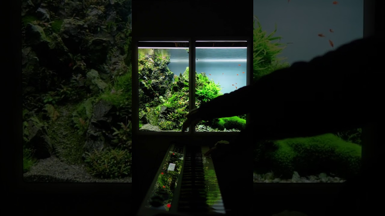 【Daily ambient】Day521『四角い空』 - TaroYabuzaki