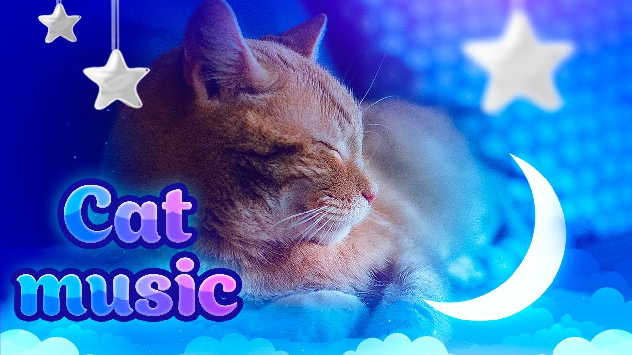 Музыка для кошек ♬ 528 Гц Исцеляющая музыка для успокоения вашей кошки - Снятие стресса 10 часов