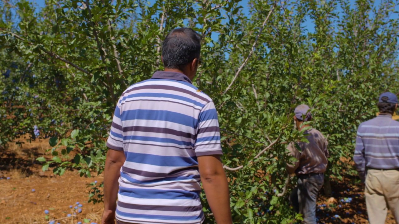 Portrait d'Agrimaker : Alaa BOUGRINE #weAAAre