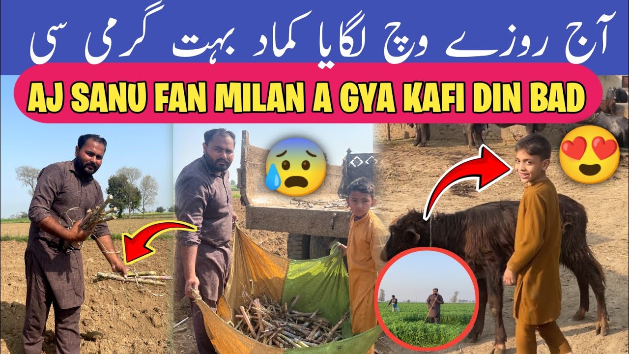 Aj Sanu Fan Milan Agya 😍 | Rozy Vich Dairy Farm Routine 😰 | Majjan Wasty Kamad Laya
